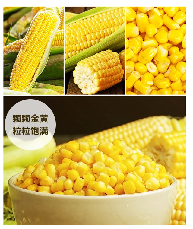玉米豆_04.jpg